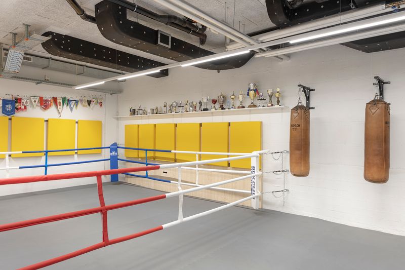 Umnutzung Messehalle 9 – Boxclub im Untergeschoss – Nina Baisch
